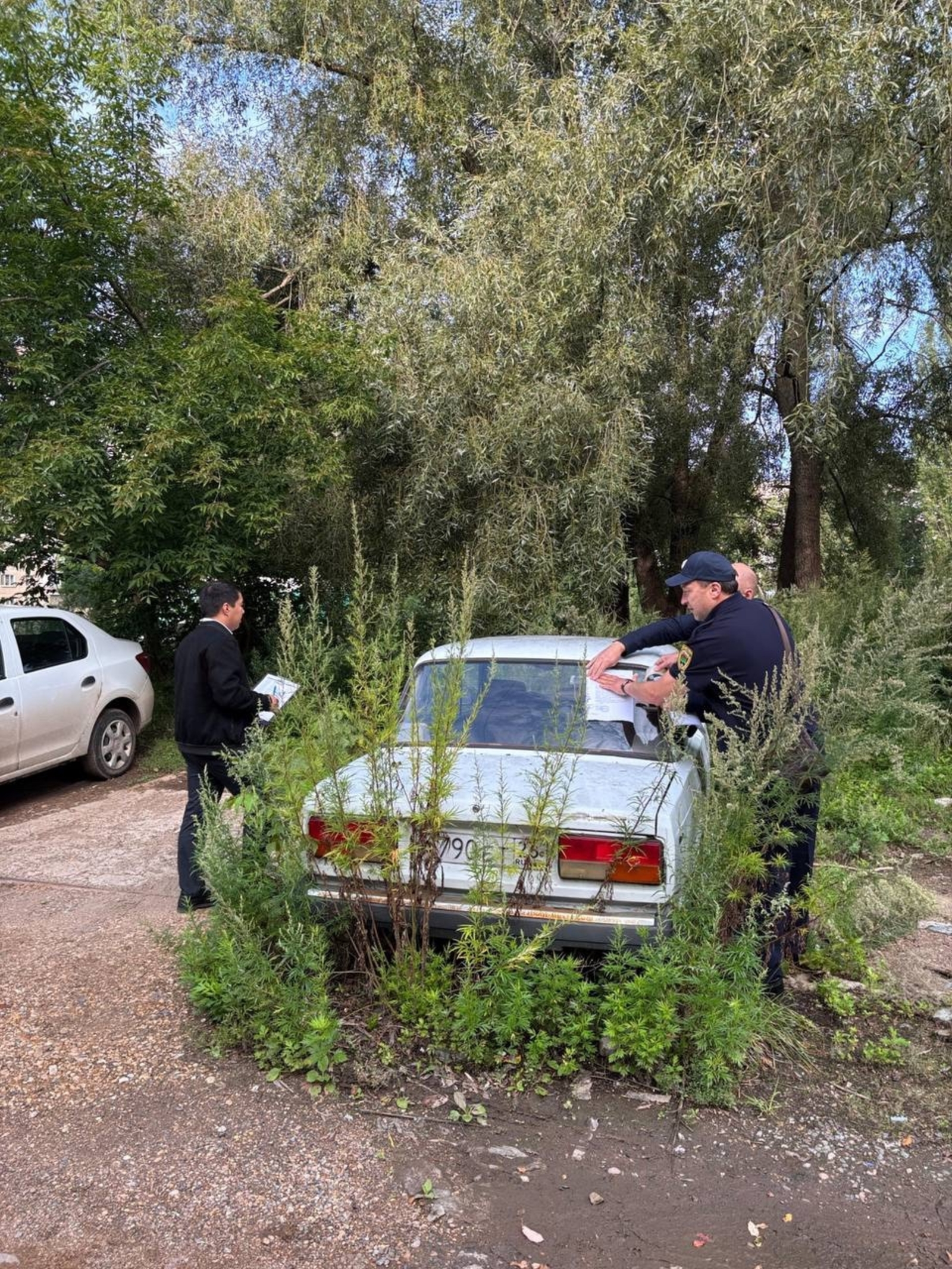 Фото: соцсети Р. Мавлиева