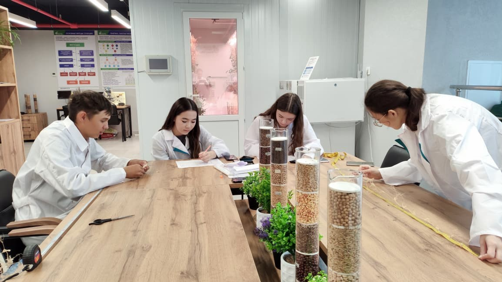 В Межвузовском кампусе Уфы завершили успешный эксперимент по гибридизации гороха