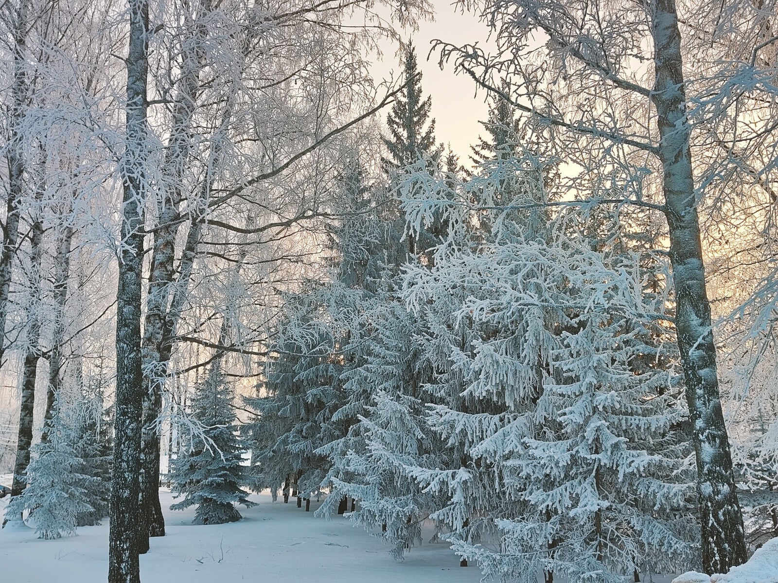 Фото: Гузель Кудашева / Аургазинский вестник.