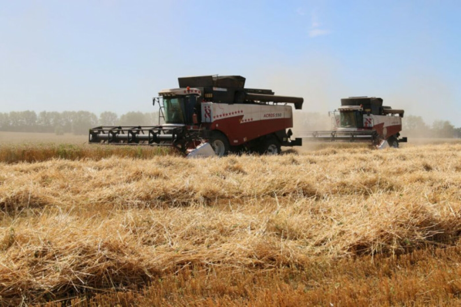 Урожай зерна в Башкортостане превысил 3 миллиона тонн