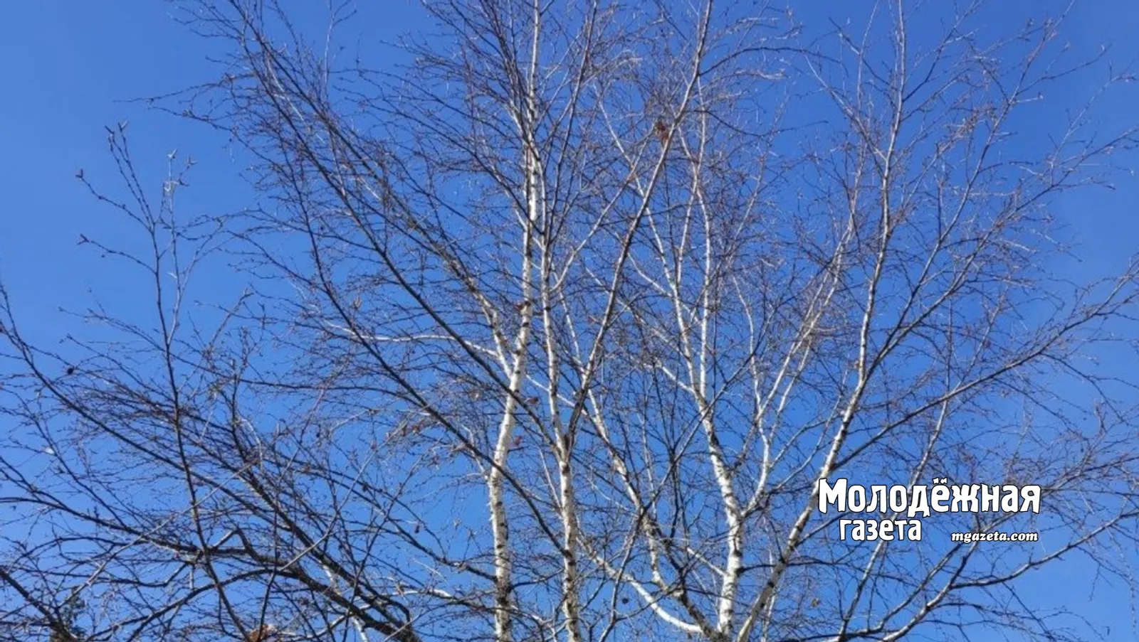 В Башкирский кадетский корпус открыт набор