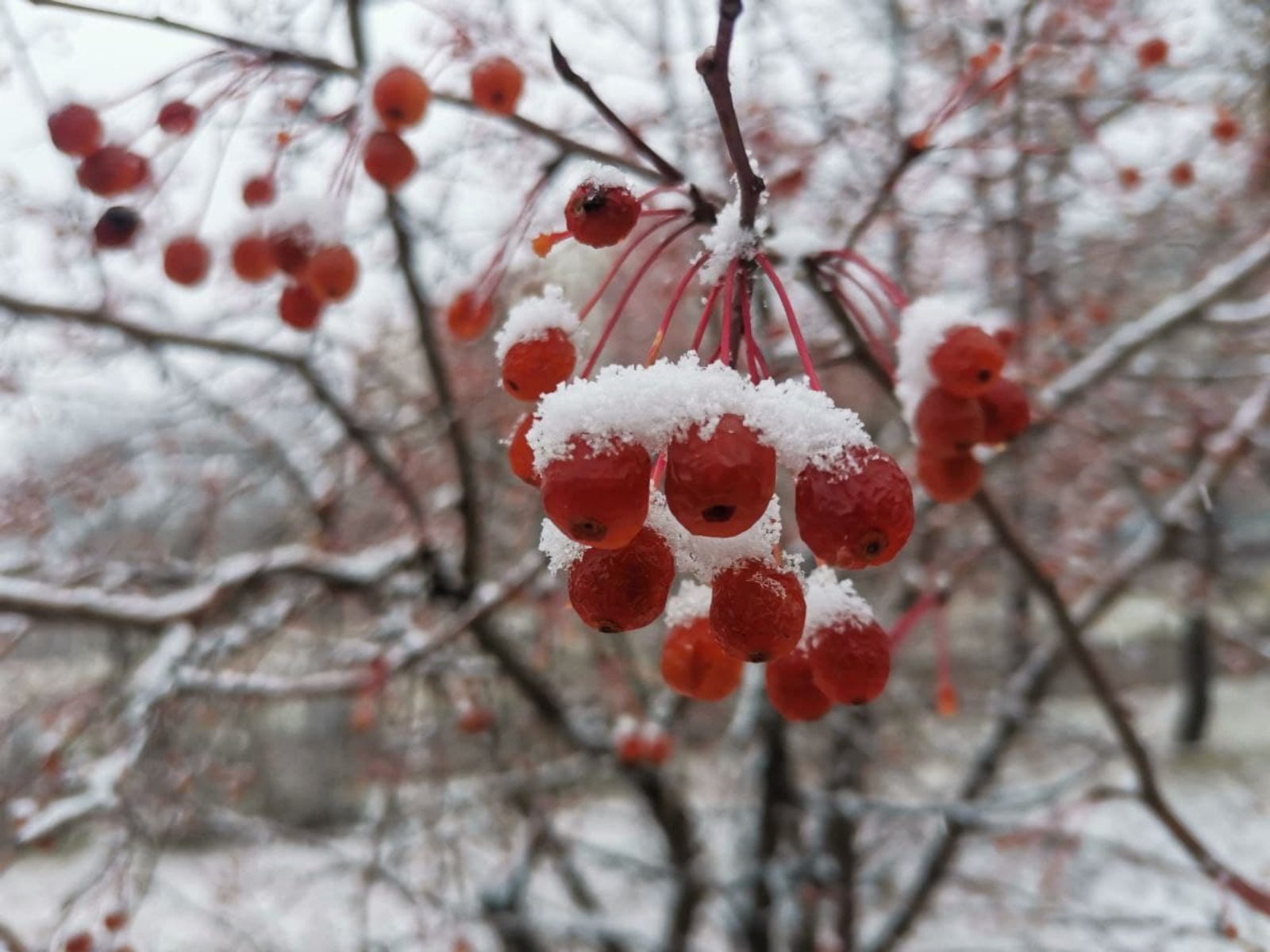 В Башкирии ожидается похолодание и мокрый снег