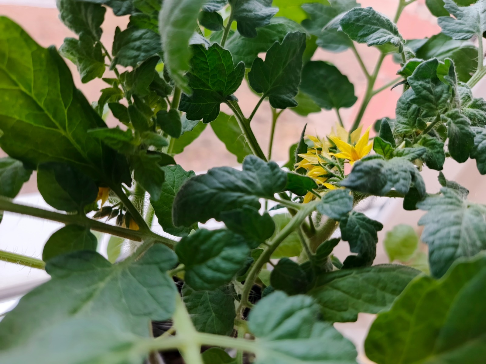 Фото: Розалия Хисаева