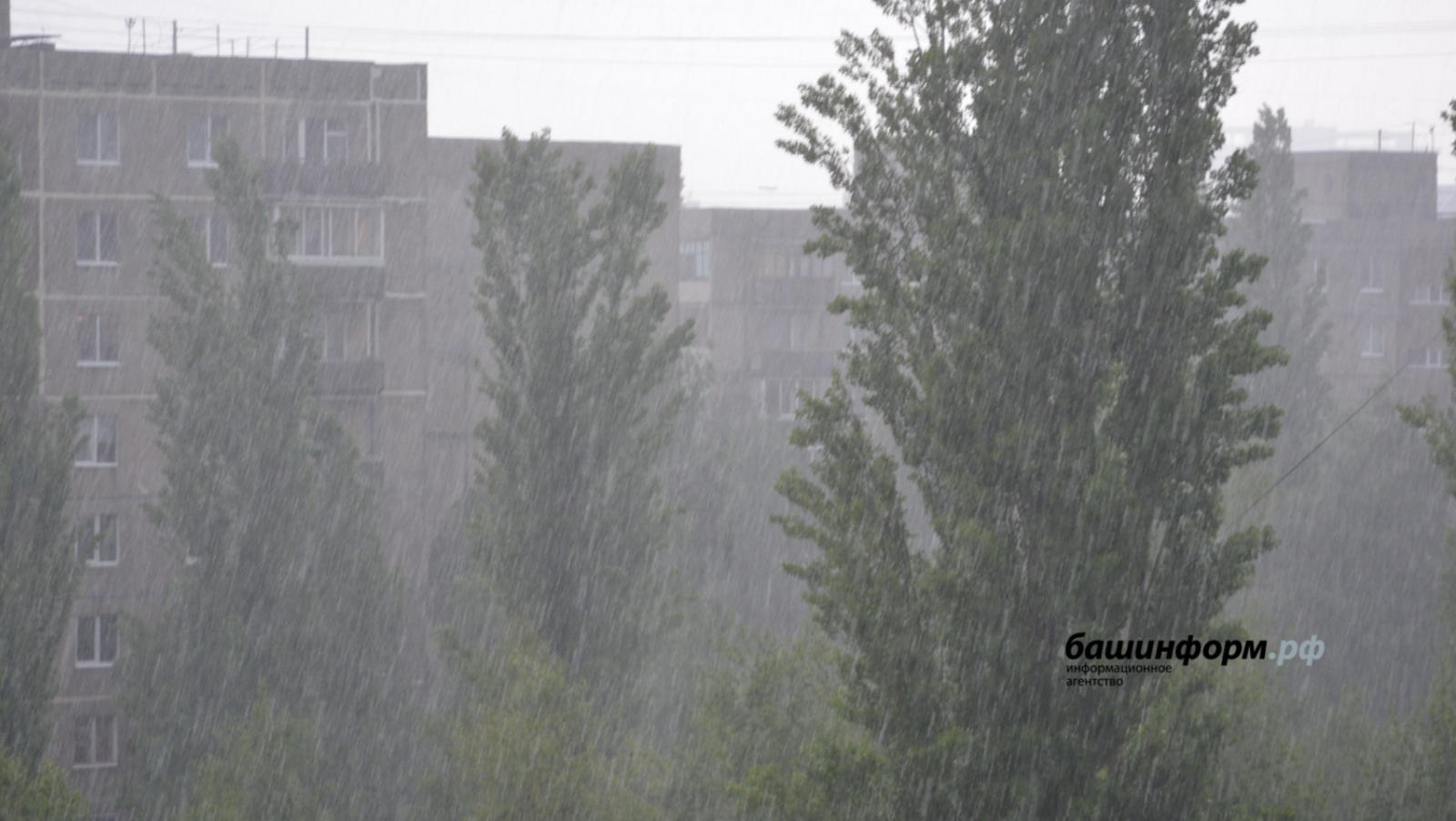 В Башкирии погода на выходные поднимется до +20 °C