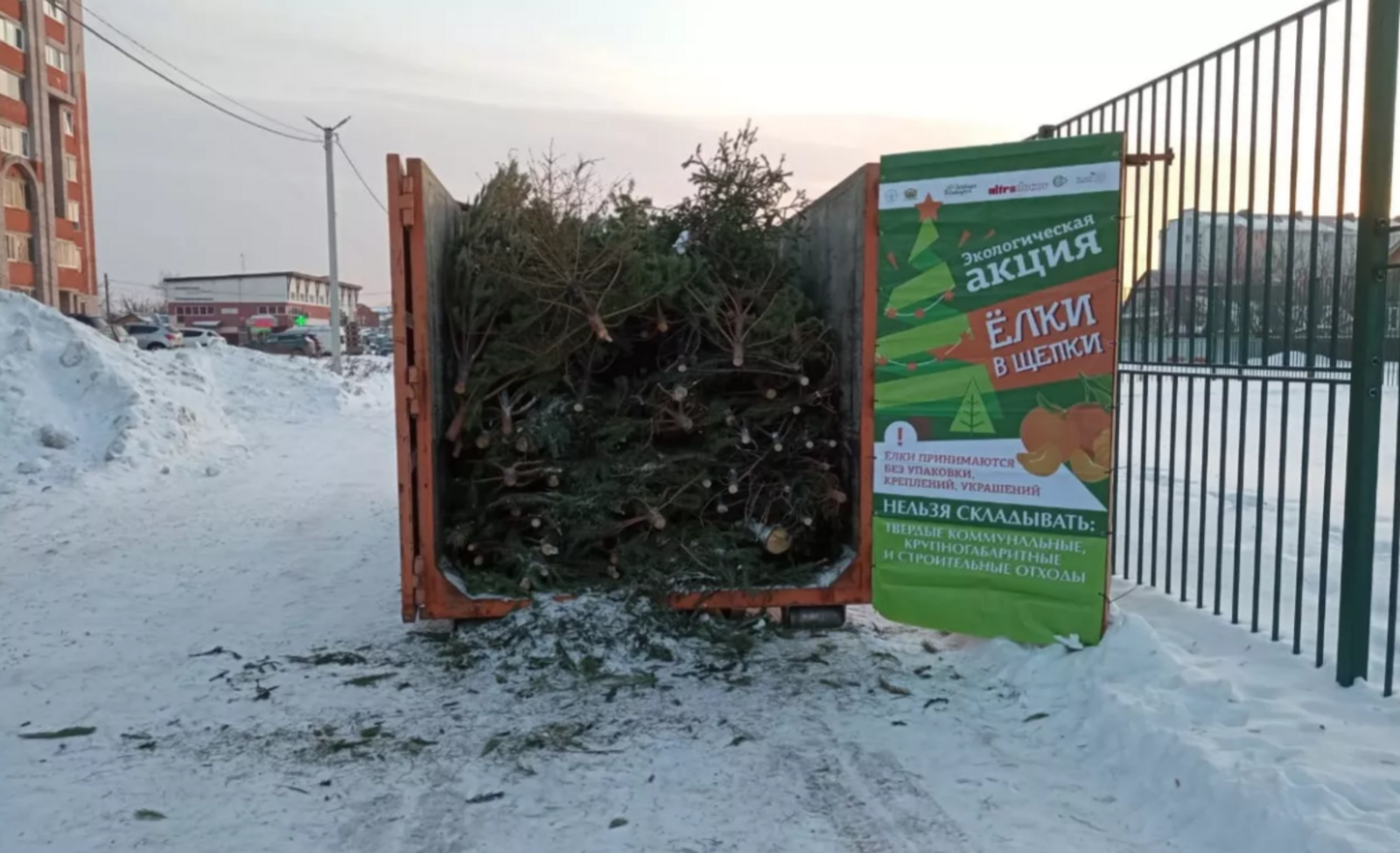 В Уфе продолжается экологическая акция «Ёлки в щепки»