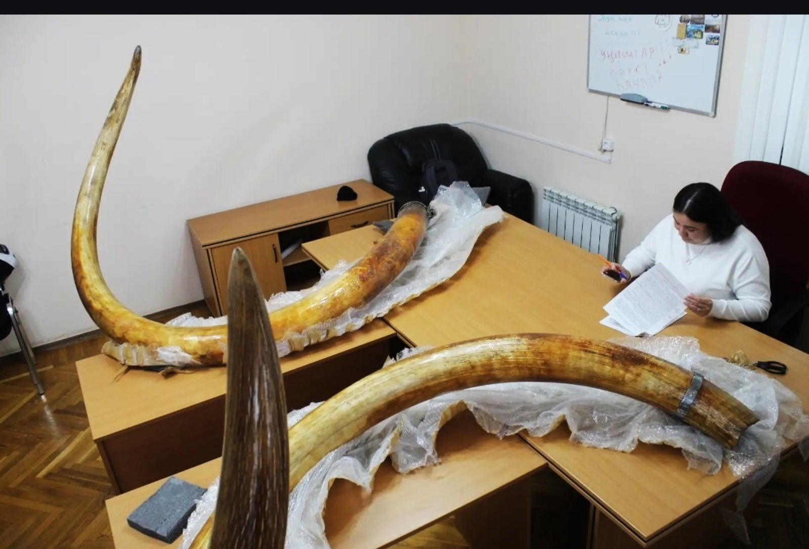 В Башкирии впервые покажут удивительный экспонат