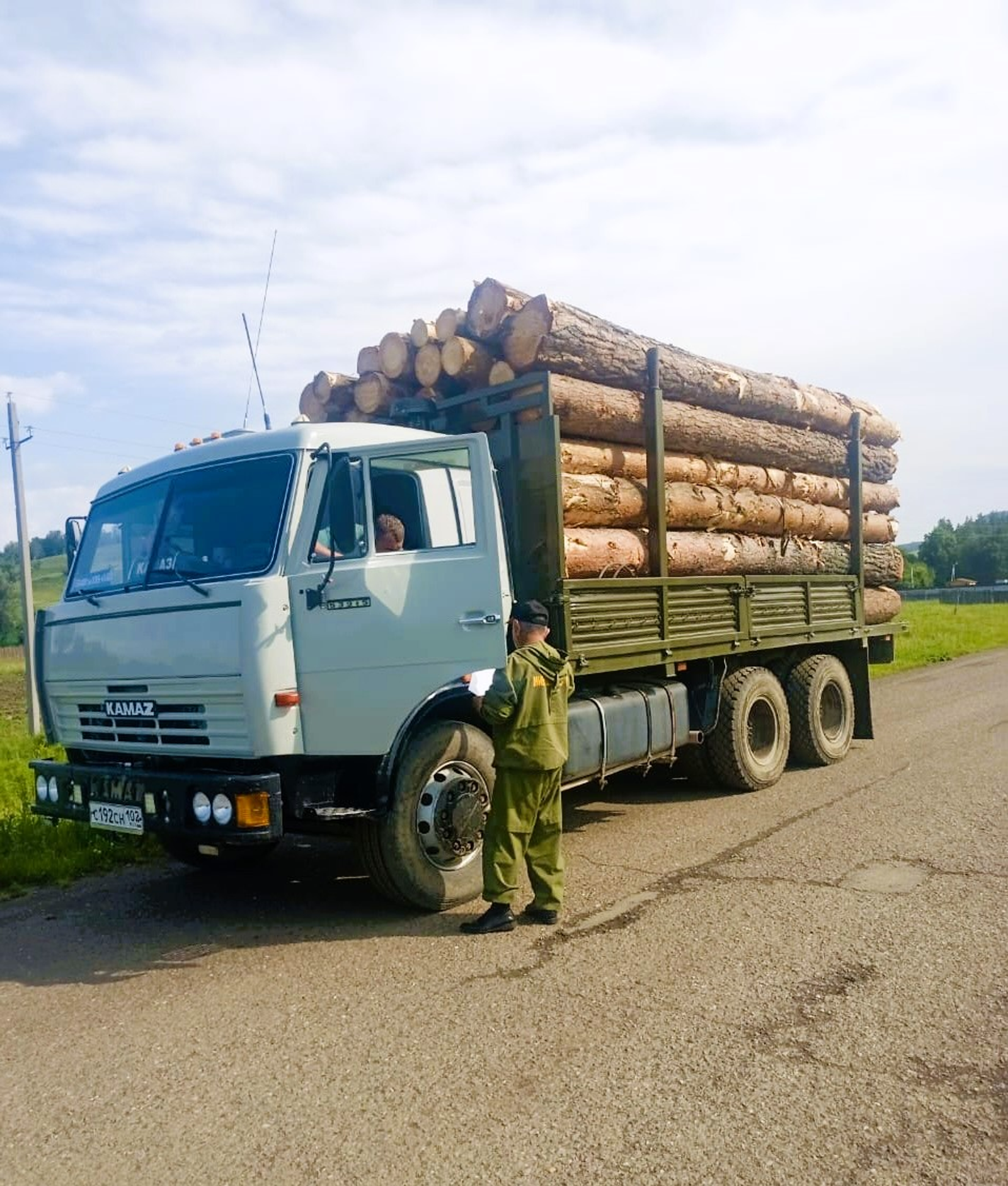 В Башкирии объем незаконно заготовленного леса снизился на 17 %