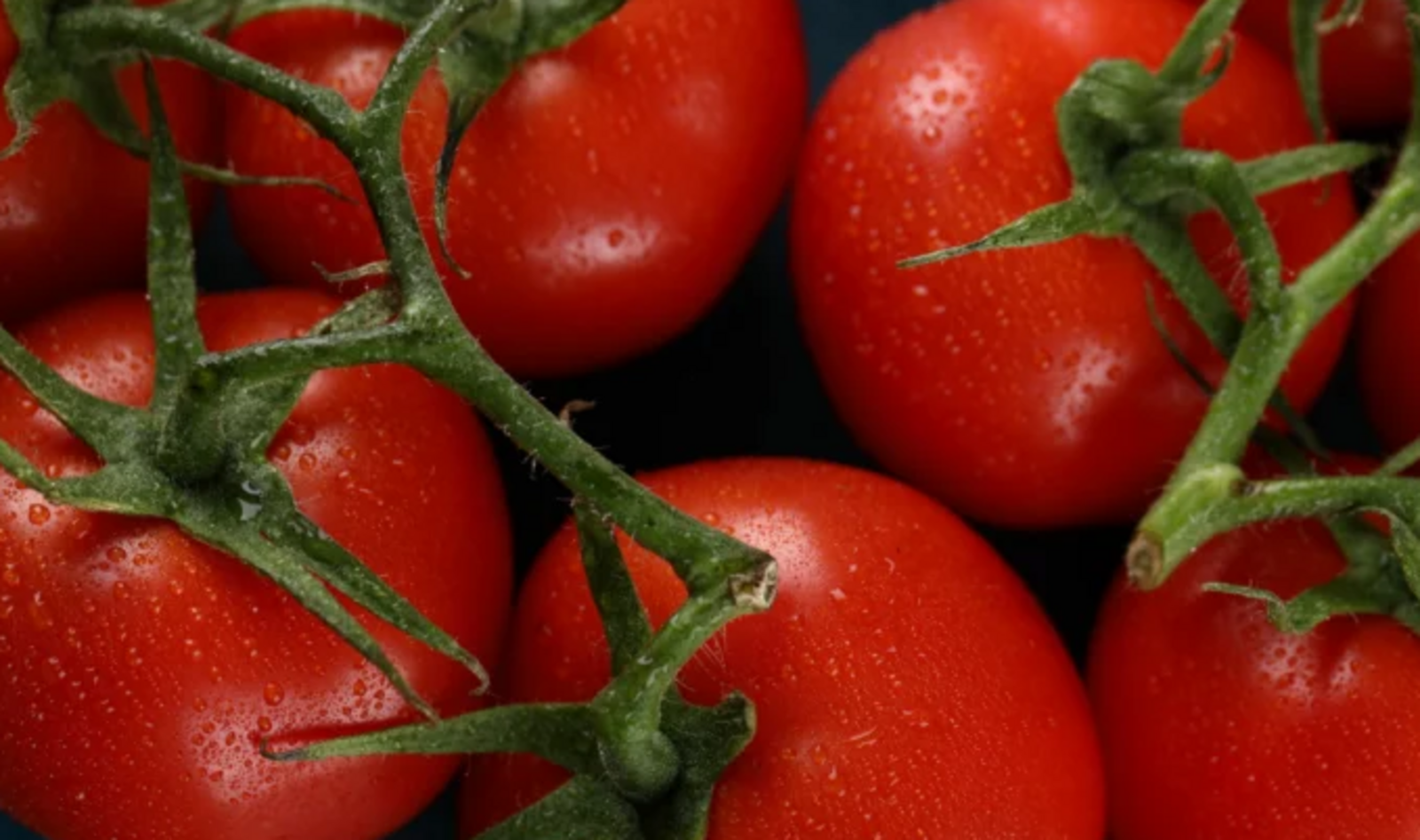 Агроном из Башкирии назвал самый вкусный и сладкий сорт томатов