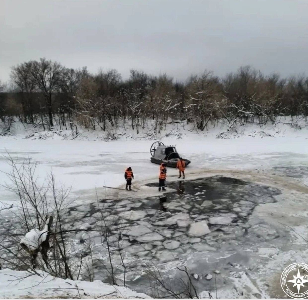 780 мертвых баранов выловили в река Башкирии