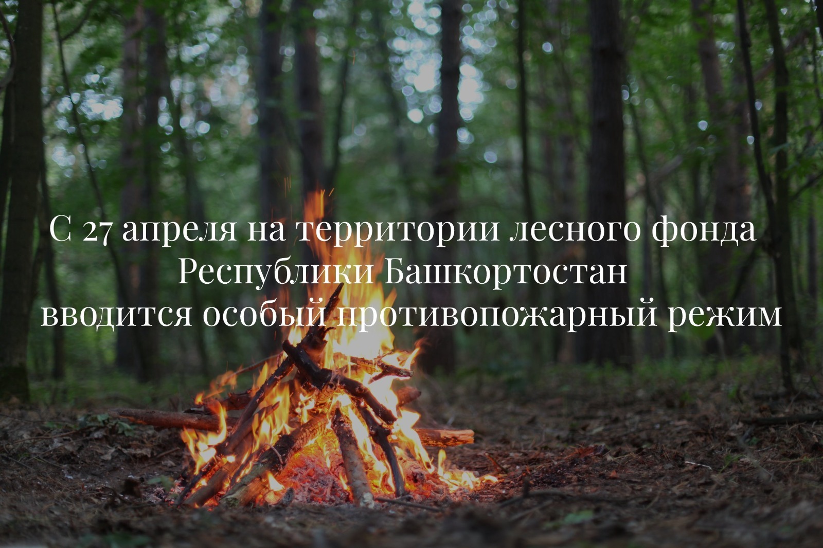 В лесах Башкирии с 27 апреля вводится особый противопожарный режим