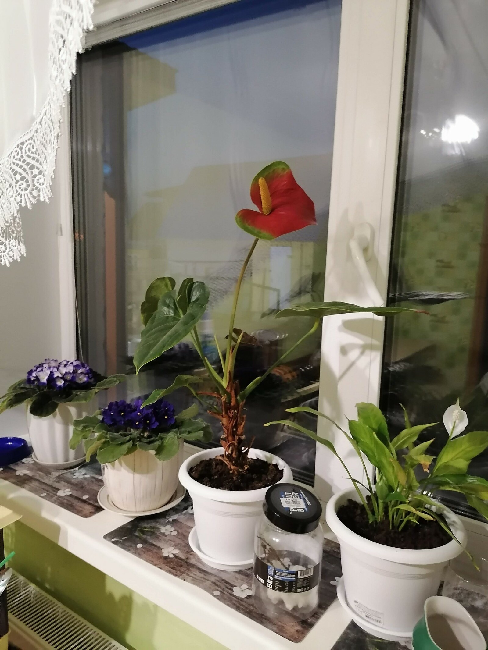 Гузель Кудашева / Аургазинский вестник