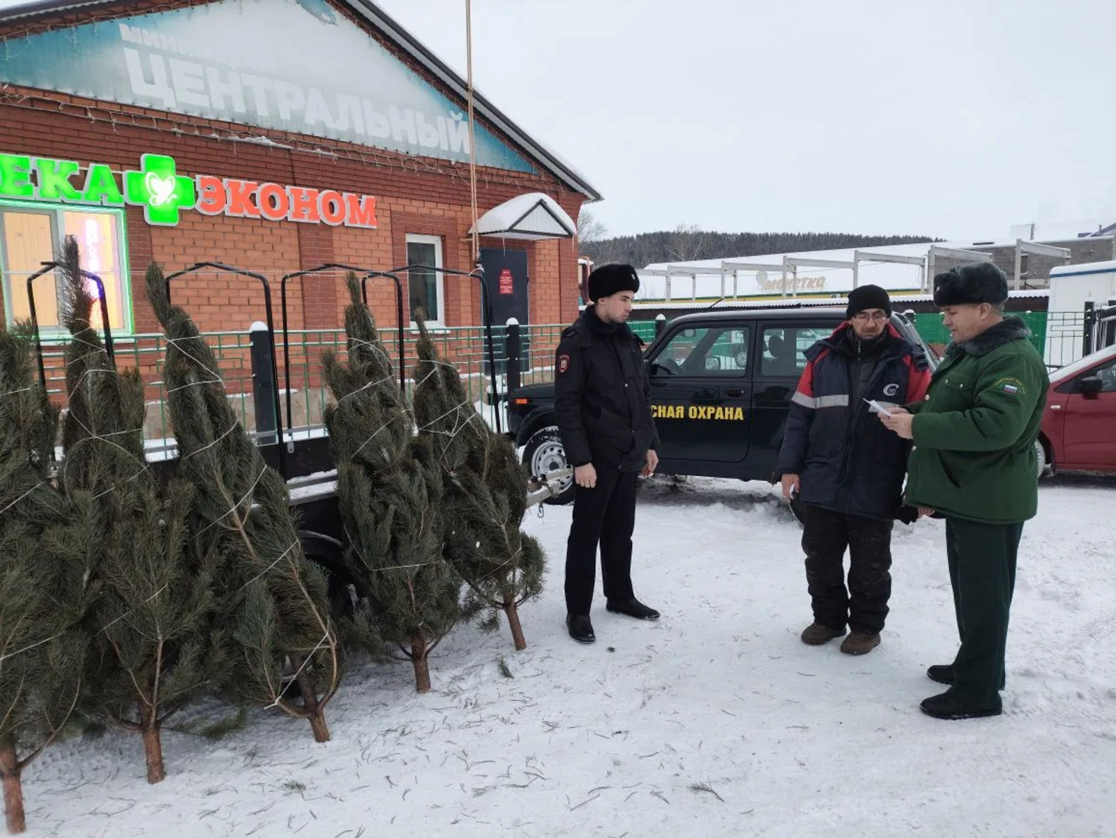 В Башкирии подвели итоги ежегодной операции «Ель-2025»