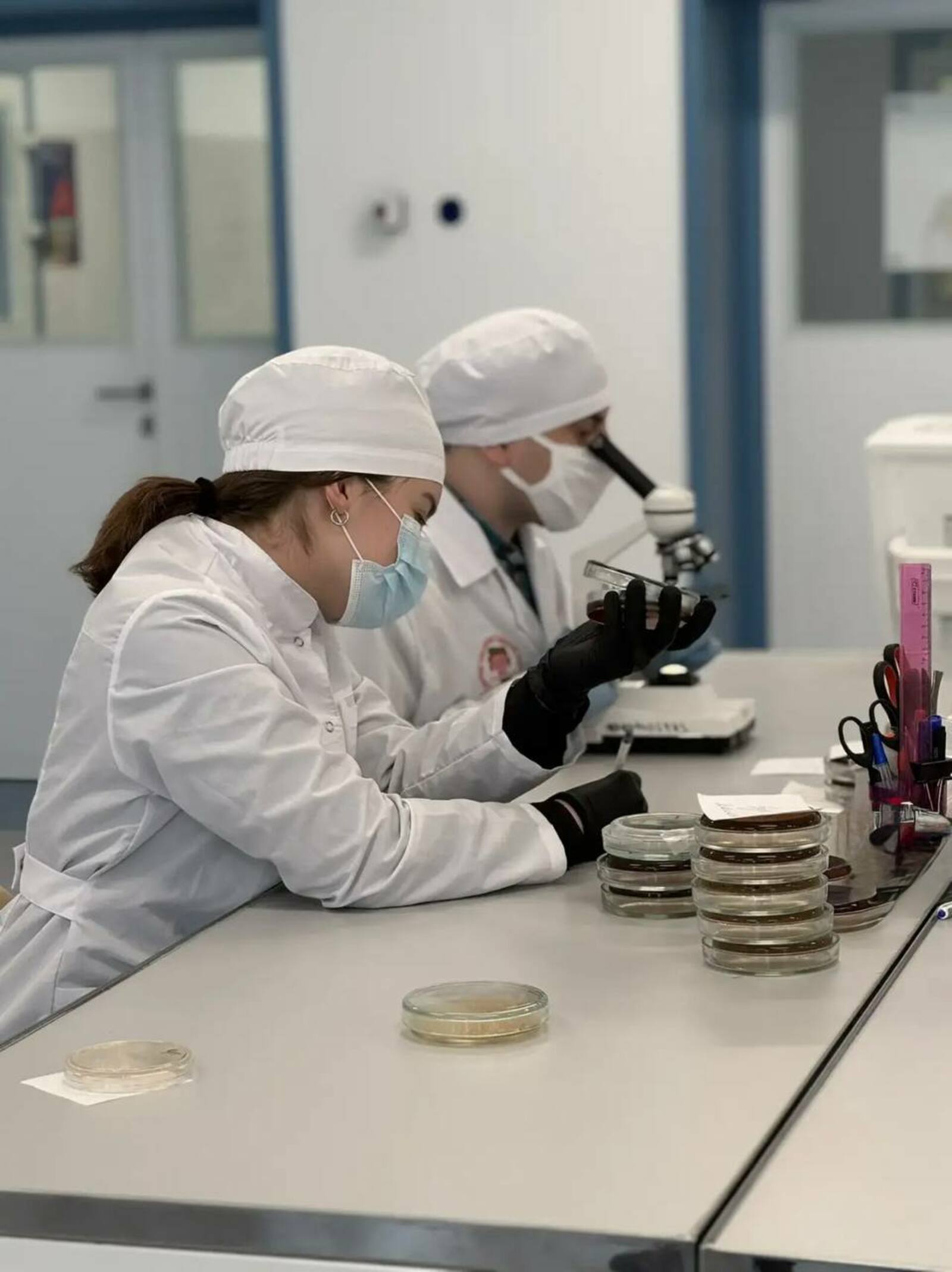 В Уфе создали тест-систему для быстрого поиска «бактерии стройности» у человека