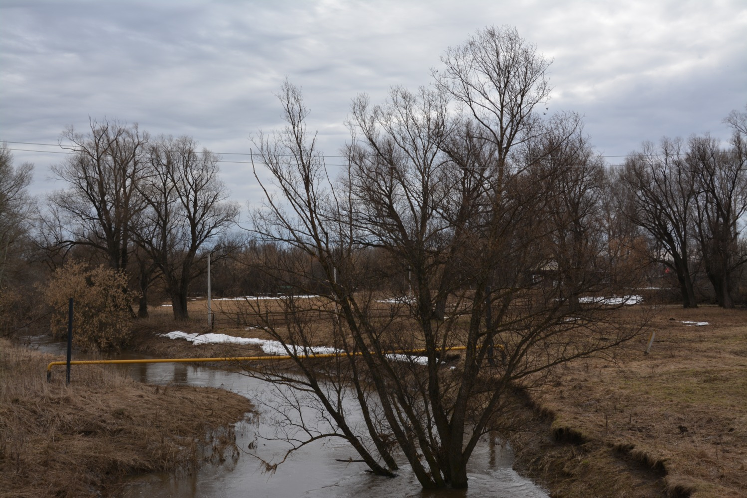 Фото: Гузель Кудашева.