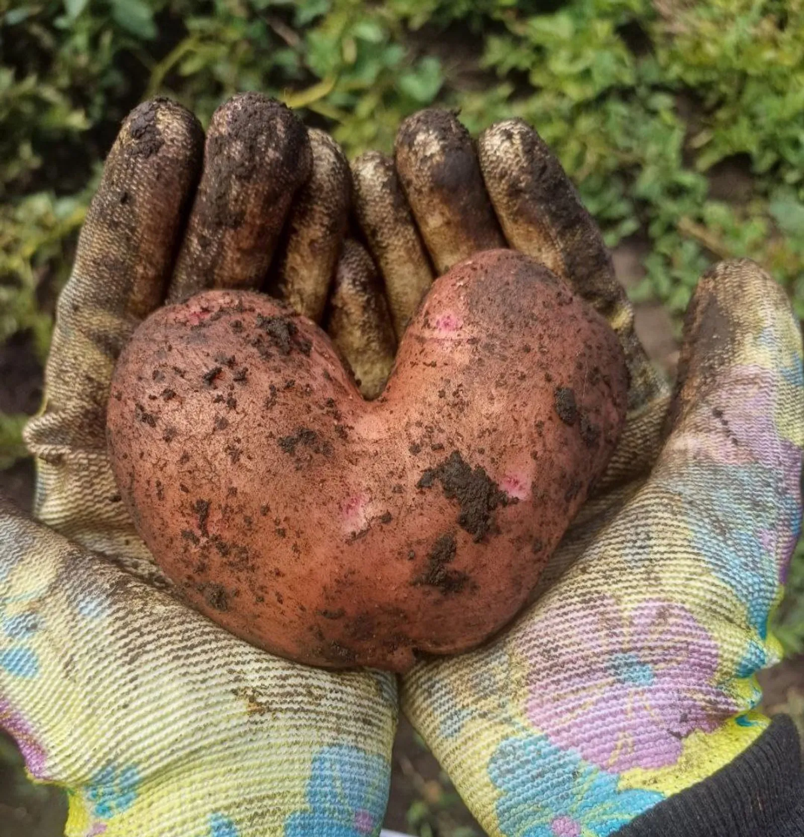 Фото: Айгуль Хуснурьялова (Асылыкуль)
