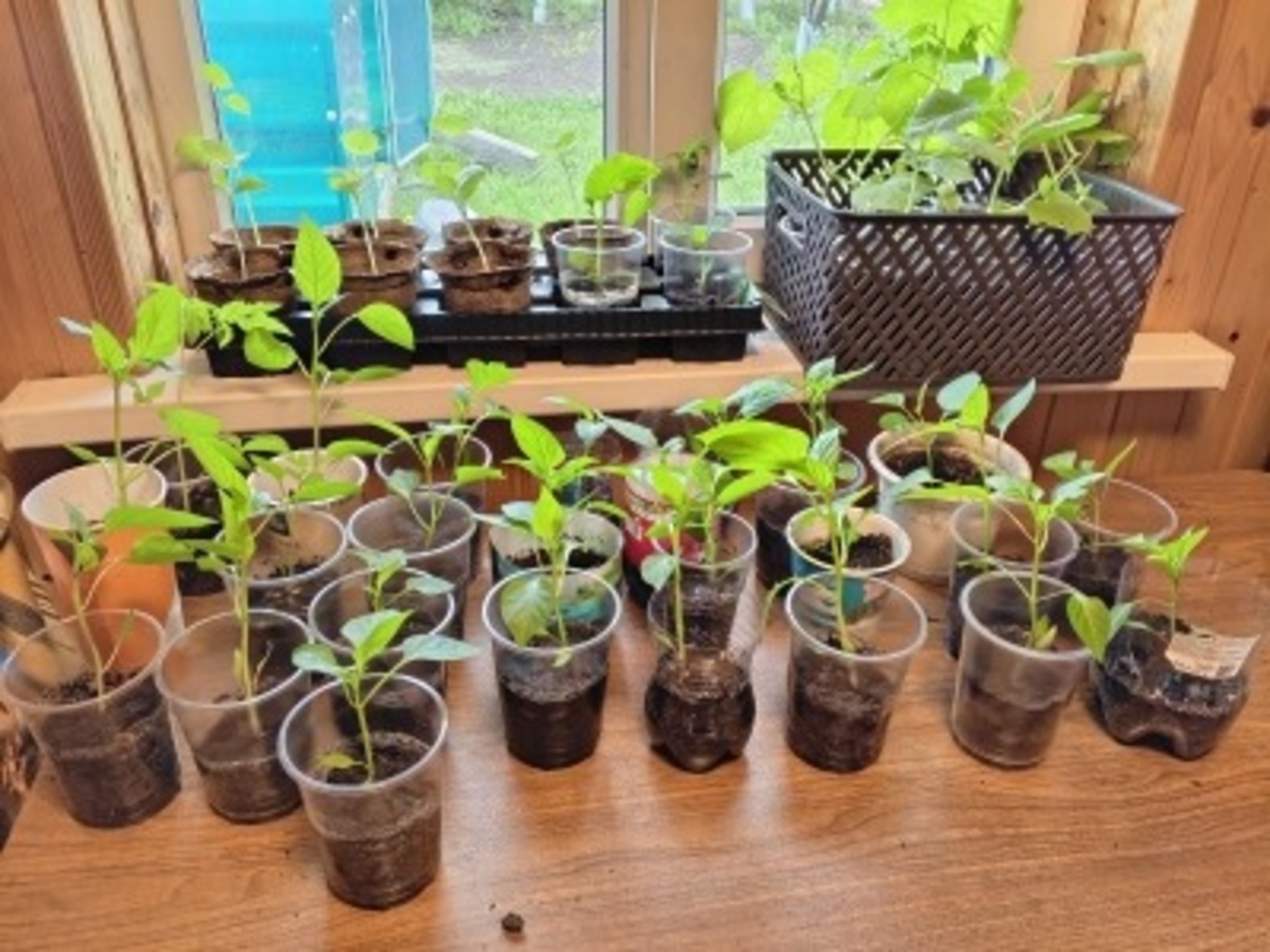 Фото: Азамат Абдрафиков