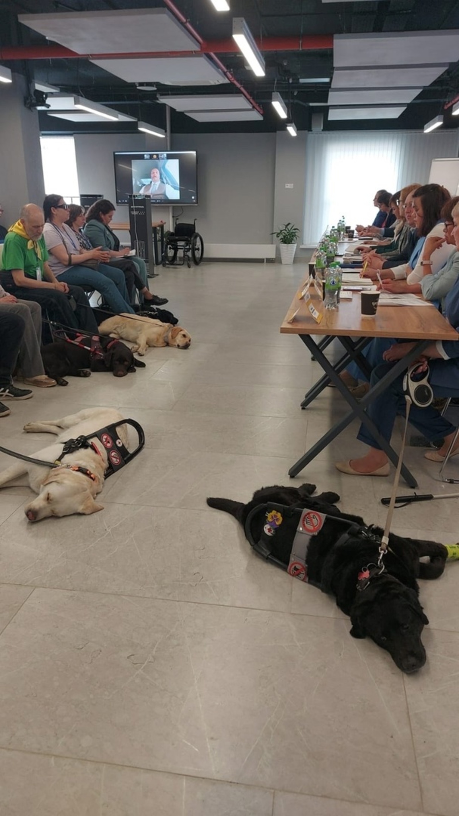 В Межвузовском кампусе провели встречу владельцев собак-поводырей